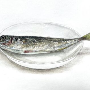 細密着彩　B3　高2